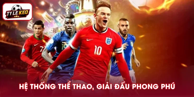 FEBET cung cấp đa dạng môn thể thao và giải đấu hấp dẫn