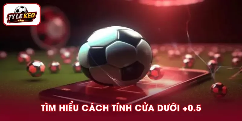 Cách đọc khi chọn cửa dưới +0.5