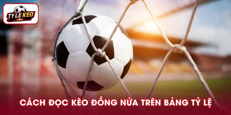 Hướng dẫn đọc kèo đồng nửa trên bảng tỷ lệ bóng đá