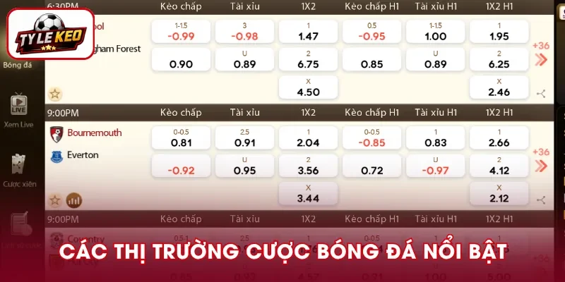 Những loại kèo bóng đá phổ biến tại Sunwin